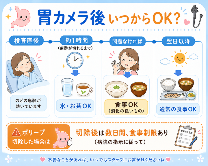 胃カメラ後 いつからOK?