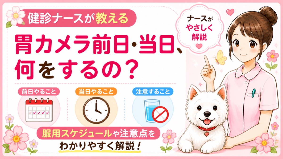 【人間ドックQ&A】胃カメラ前日・当日にやること全まとめ！食事制限・薬の注意点を現役ナースが解説🌸