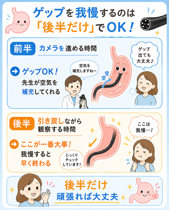 ゲップを我慢するのは「後半だけ」でOK！