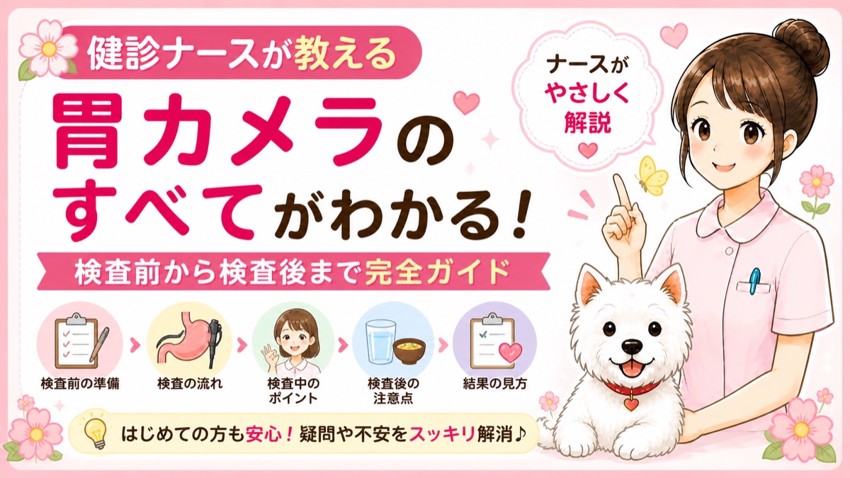 【完全版】胃カメラのすべてがわかる！検査前から結果まで、現役ナースが徹底解説🌸