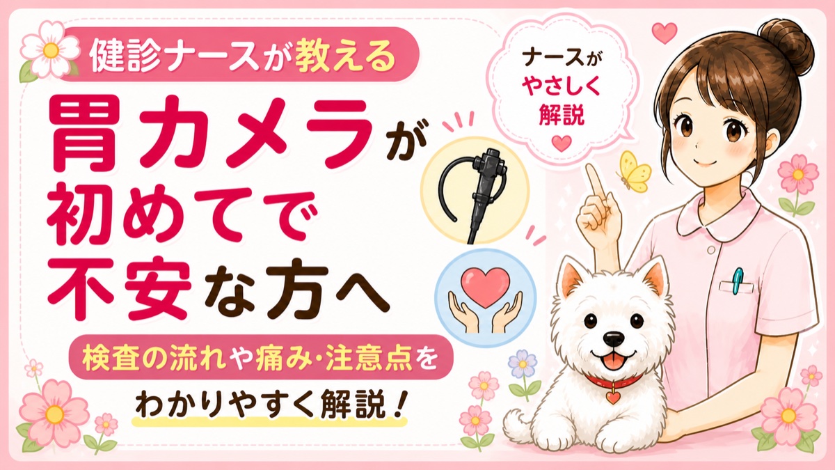 【人間ドックQ&A】初めての胃カメラ、当日の流れを全部解説！ナース直伝「楽に受けられる体勢」のコツ🌸