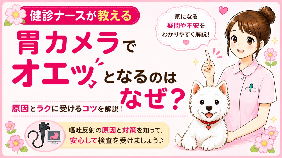 【胃カメラQ&A】えずきがひどいのはなぜ？マウスピースの瞬間が一番つらい理由を現役ナースが解説🌸