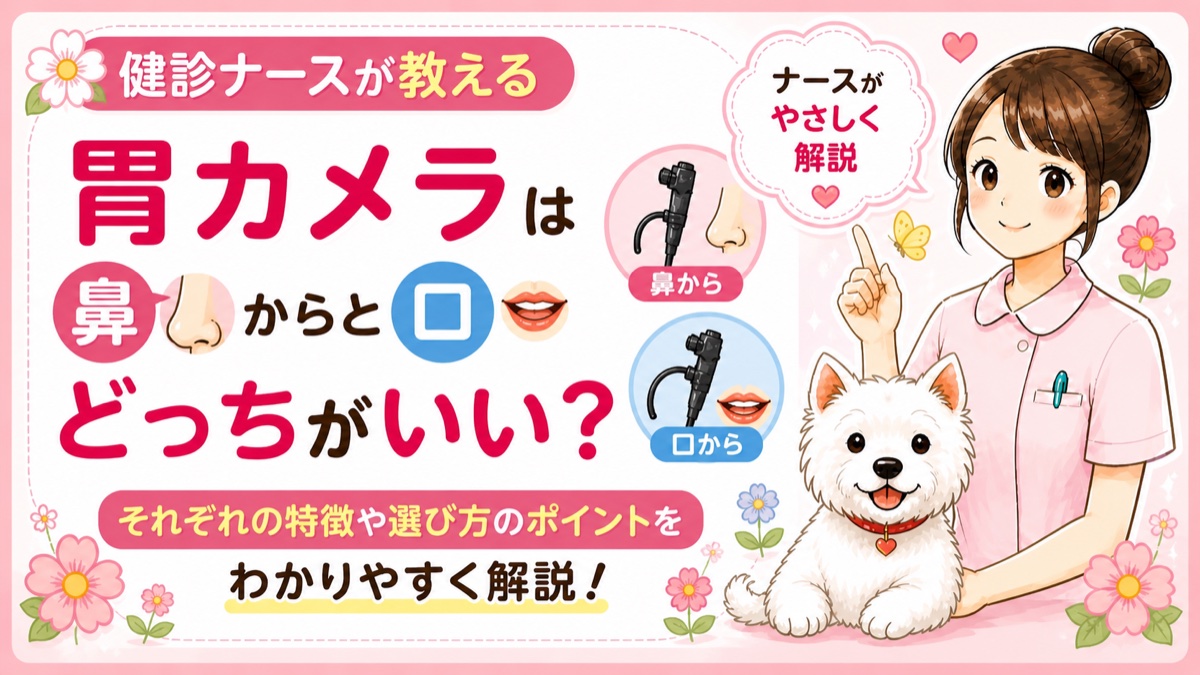 【人間ドックQ&A】胃カメラは鼻から？口から？現役ナースが教える違いと「あなたに合った選び方」🌸