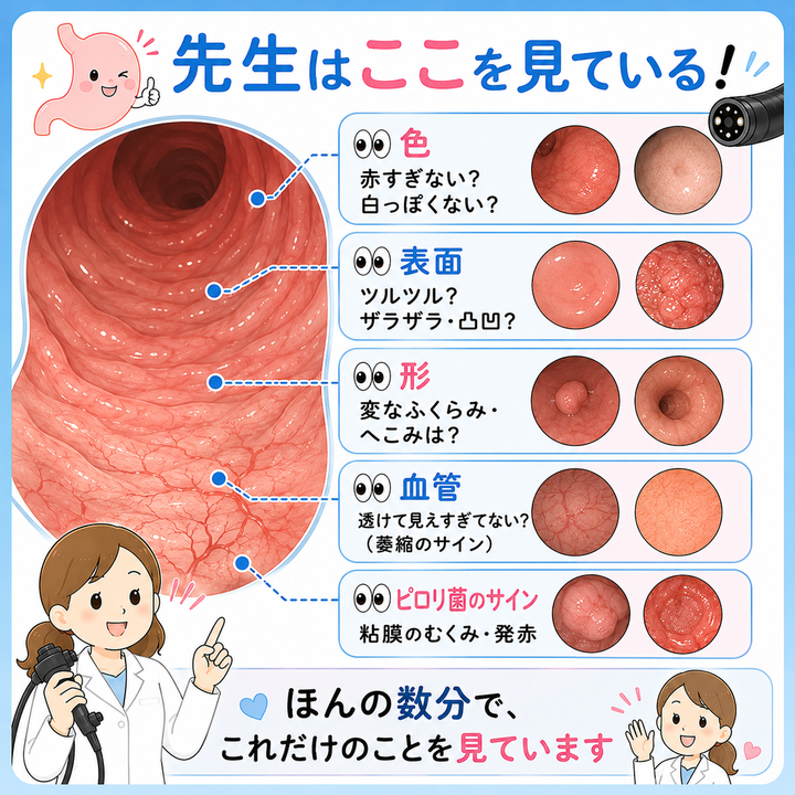 先生はここを見ている!観察ポイント