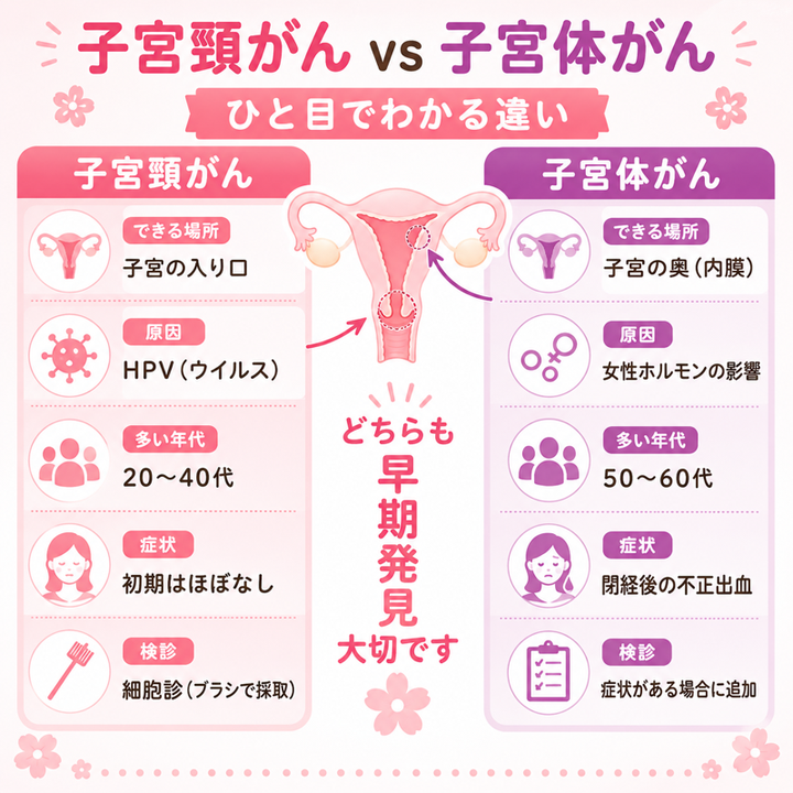 子宮頸がんvs子宮体がん ひと目でわかる違い