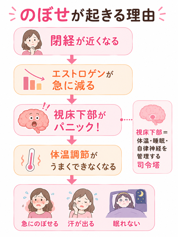 のぼせが起きる理由