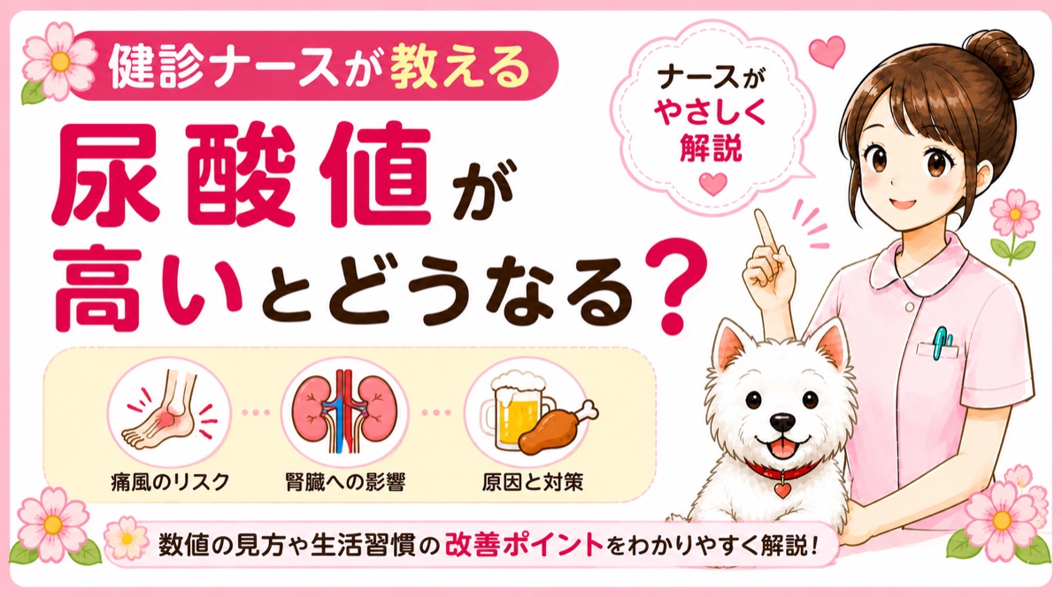 【人間ドックQ&A】尿酸値が高いと言われた。痛風になるの？現役ナースがプリン体・食事・対策を解説🌸